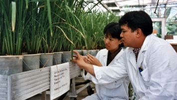 FAO Asia-Pacific Science and Innovation Forum highlights community-led climate actions and need for further investments in science, technology and innovation in agriculture